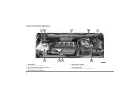 Страница 224