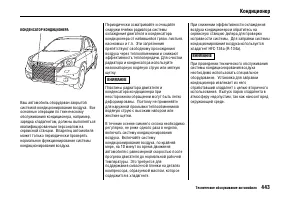 Страница 448