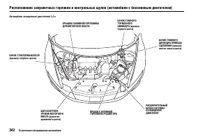 Страница 346