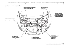 Страница 347