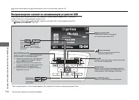Страница 215