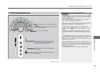 Страница 264