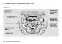 Страница 404