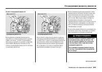 Страница 407