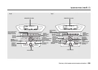 Страница 263