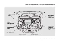 Страница 367