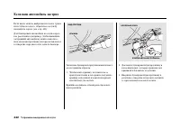 Страница 446