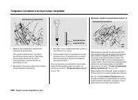 Страница 243