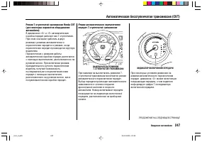 Страница 251