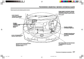 Страница 281