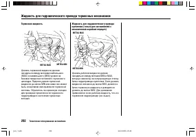 Страница 296