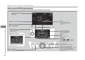 Страница 216