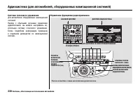 Страница 243