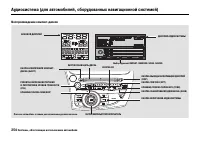 Страница 259