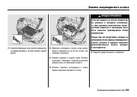 Страница 444