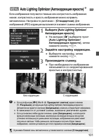 Страница 101