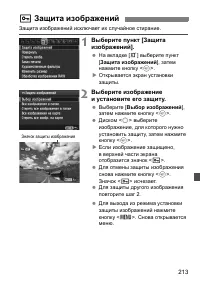 Страница 213