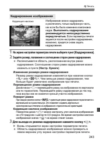 Страница 243