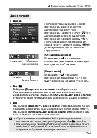 Страница 247