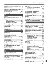 Страница 317