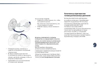 Страница 137