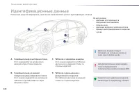 Страница 242