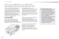 Страница 244