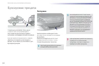 Страница 262