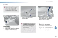 Страница 269