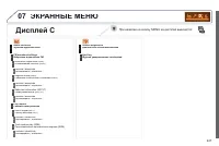 Страница 249