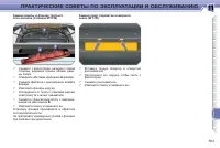 Страница 185