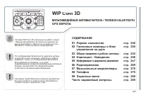 Страница 249