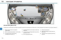 Страница 172