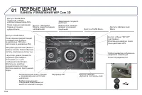 Страница 250