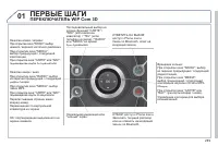 Страница 251