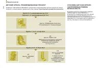 Страница 102