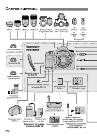 Страница 250