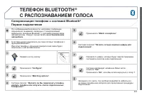 Страница 243