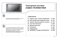 Страница 251