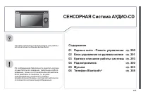 Страница 291