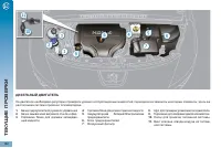 Страница 164