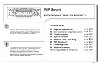 Страница 251