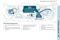 Страница 113