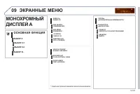 Страница 251