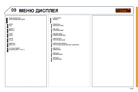 Страница 243