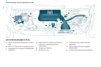 Страница 124