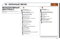 Страница 243