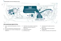 Страница 116