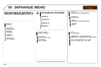 Страница 250