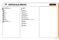 Страница 251